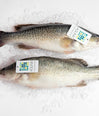 Australian Aquna Murray Cod Fillet (Chilled) image 2