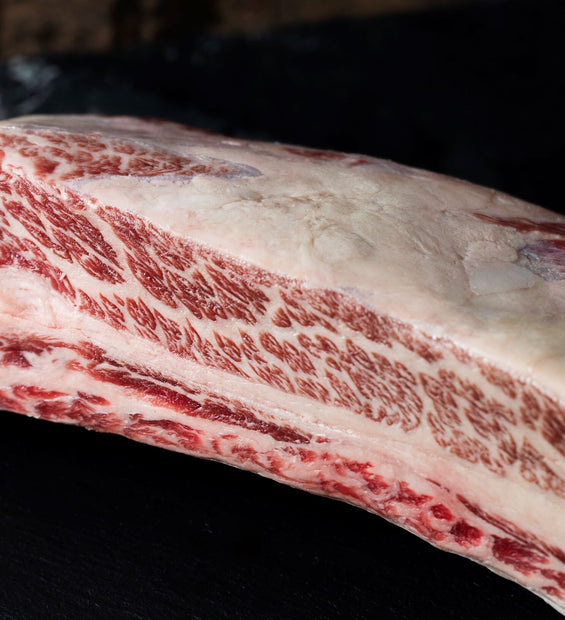 Bone in Shortrib (Wagyu and Angus) image