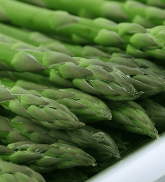 Asparagus (Australia) image