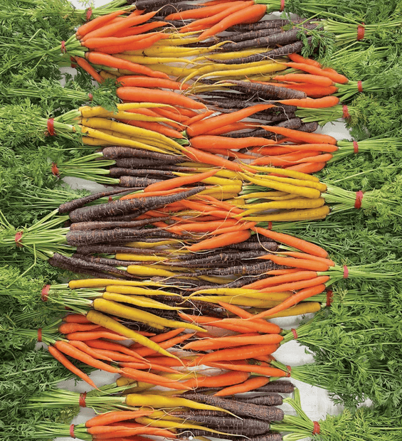 Mixed Dutch Carrots (Australia) image