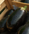 Large Aubergine (Australia) image 1