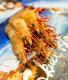 Wild Australian King Prawns (MSC)-Frozen image 1