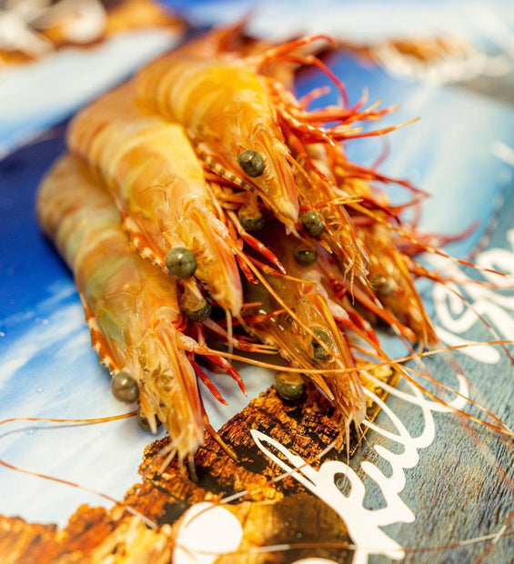 Wild Australian King Prawns (MSC)-Frozen image