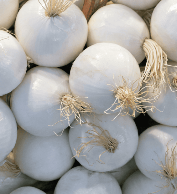 White Onions (Australia) image