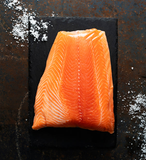 New Zealand King Salmon (Fresh) image