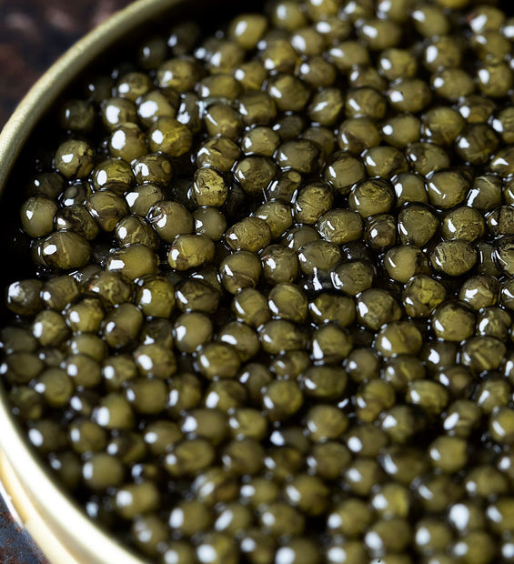 N 25 Kaluga X Hybrid Caviar (Acipenser schrenckii x Huso Dauricus) image