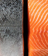 NZ King Salmon (Frozen) image 1