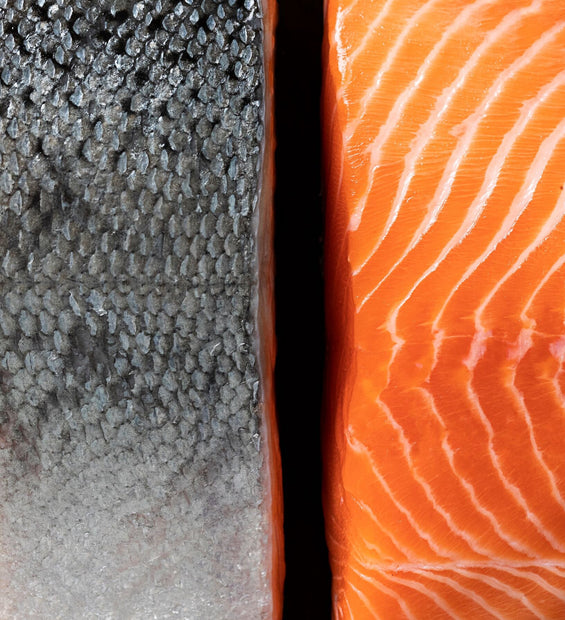 NZ King Salmon (Frozen) image